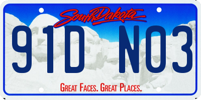 SD license plate 91DN03