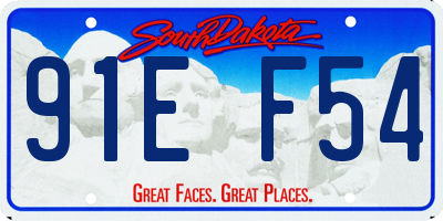SD license plate 91EF54