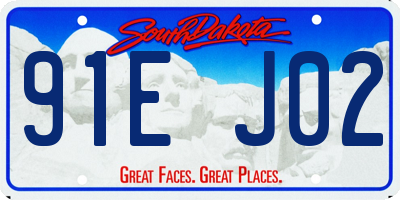 SD license plate 91EJ02