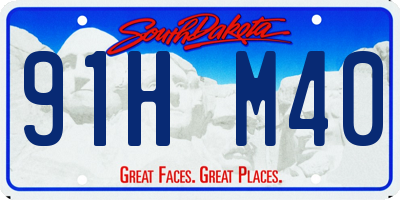 SD license plate 91HM40