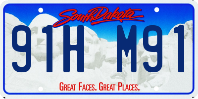 SD license plate 91HM91