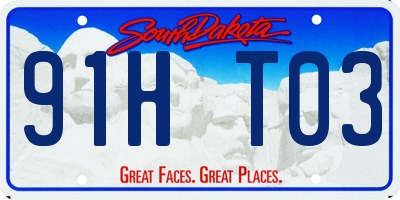 SD license plate 91HT03