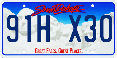 SD license plate 91HX30