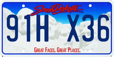 SD license plate 91HX36