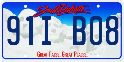 SD license plate 91IB08