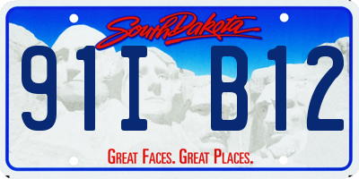SD license plate 91IB12