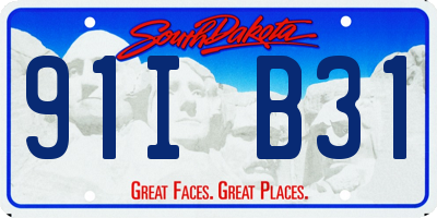 SD license plate 91IB31