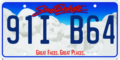 SD license plate 91IB64