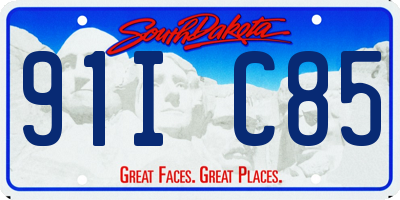 SD license plate 91IC85