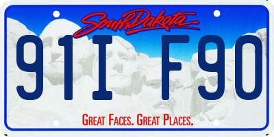 SD license plate 91IF90