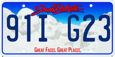 SD license plate 91IG23