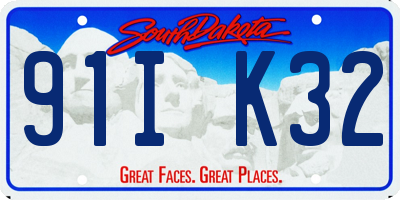 SD license plate 91IK32