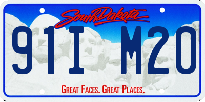 SD license plate 91IM20