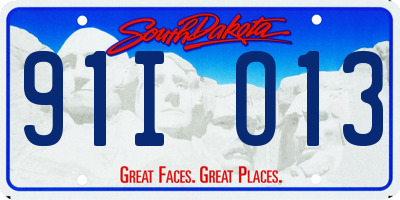 SD license plate 91IO13