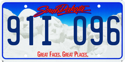 SD license plate 91IO96