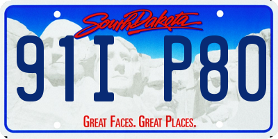 SD license plate 91IP80