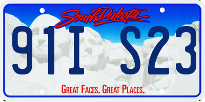 SD license plate 91IS23