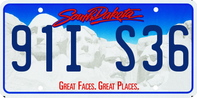 SD license plate 91IS36