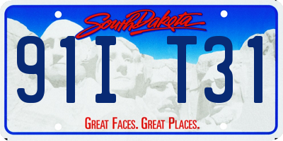 SD license plate 91IT31