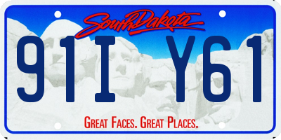 SD license plate 91IY61