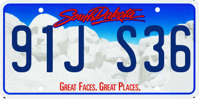 SD license plate 91JS36