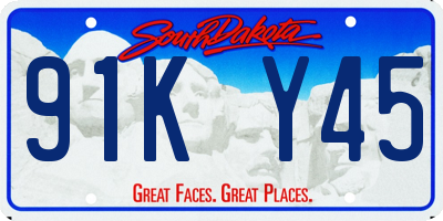 SD license plate 91KY45