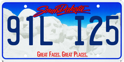 SD license plate 91LI25