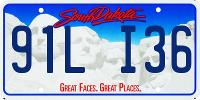 SD license plate 91LI36