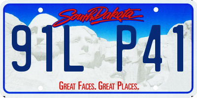 SD license plate 91LP41