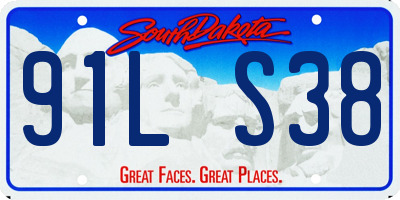 SD license plate 91LS38