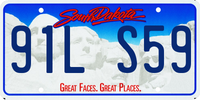 SD license plate 91LS59