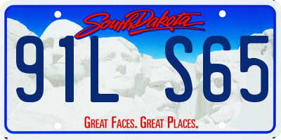 SD license plate 91LS65
