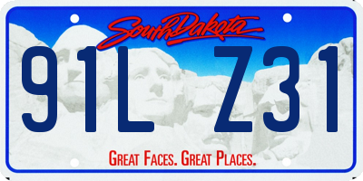 SD license plate 91LZ31
