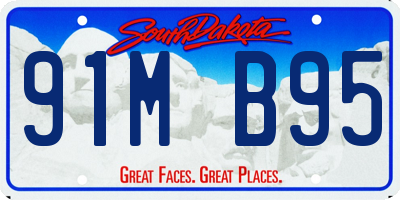 SD license plate 91MB95