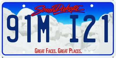 SD license plate 91MI21