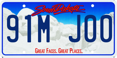 SD license plate 91MJ00