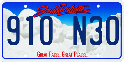 SD license plate 91ON30