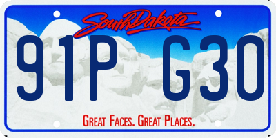 SD license plate 91PG30