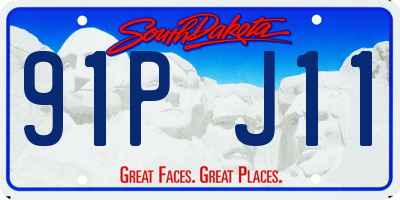 SD license plate 91PJ11