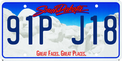 SD license plate 91PJ18