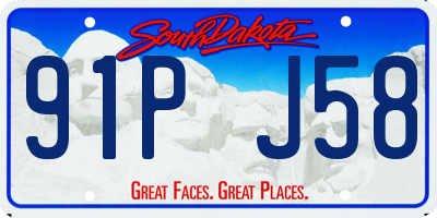 SD license plate 91PJ58