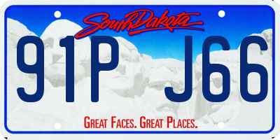 SD license plate 91PJ66