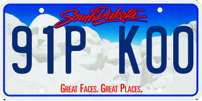 SD license plate 91PK00