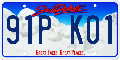 SD license plate 91PK01