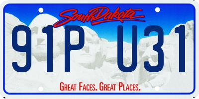 SD license plate 91PU31