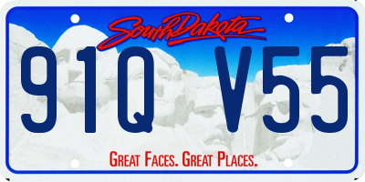 SD license plate 91QV55