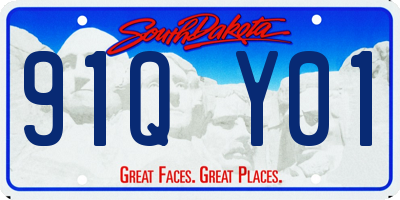 SD license plate 91QY01