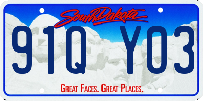 SD license plate 91QY03