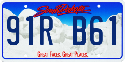 SD license plate 91RB61