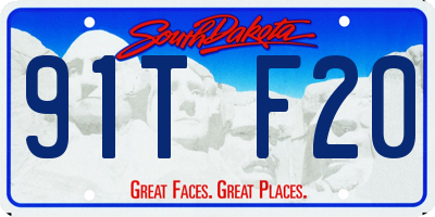 SD license plate 91TF20